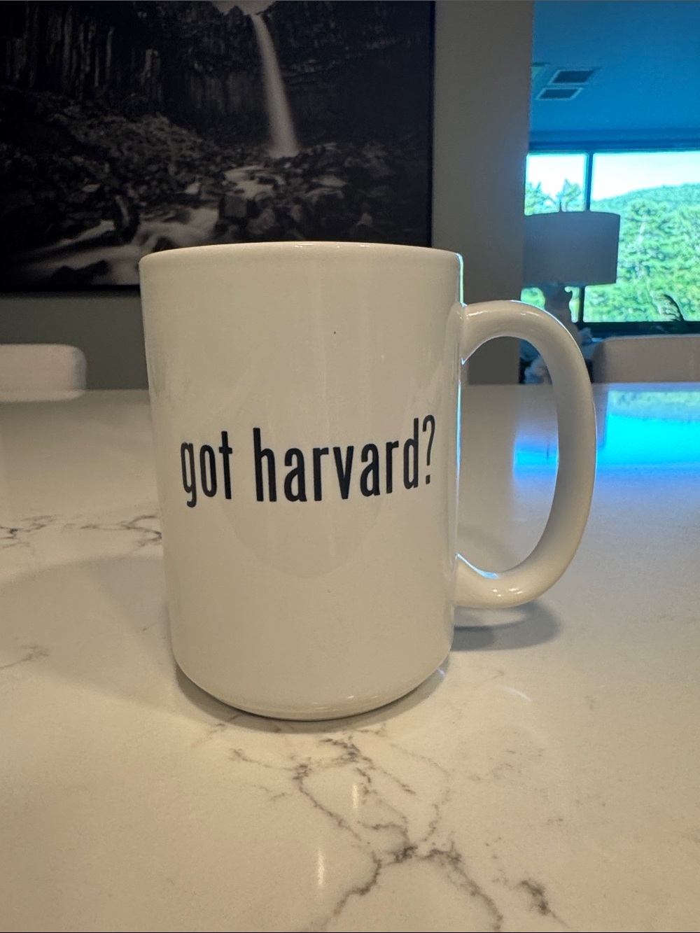 Source Unknown White Mug with Black "got harvard?" Text